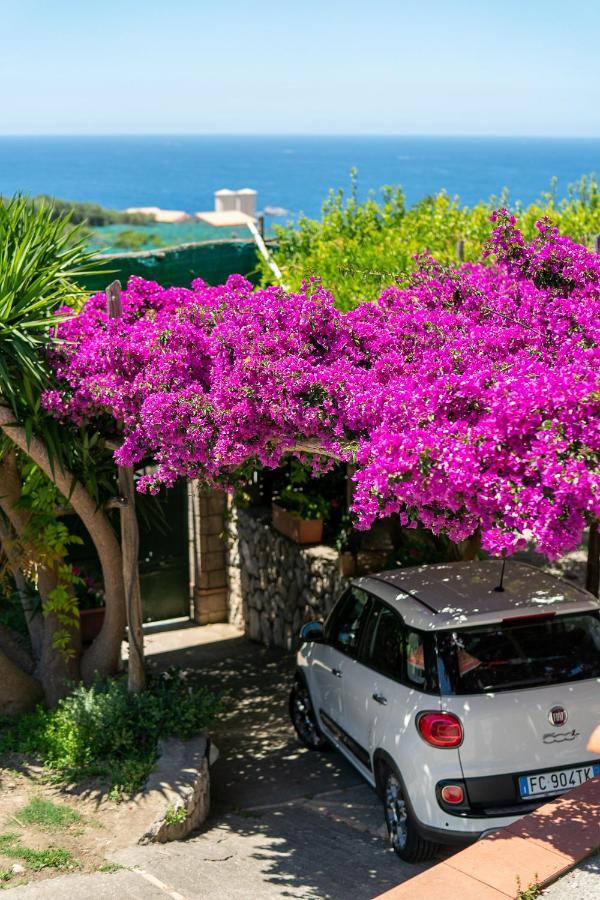 Villa Lorelei Massa Lubrense Exterior foto